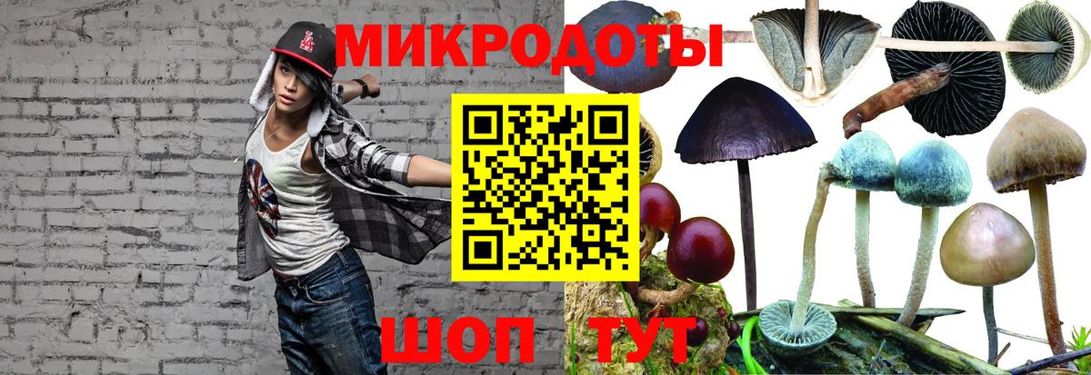 Первоуральск  купить закладку  Вход с VPN  Псилоцибиновые грибы ЛСД  Псилоцибиновые грибы Psilocybine cubensis 