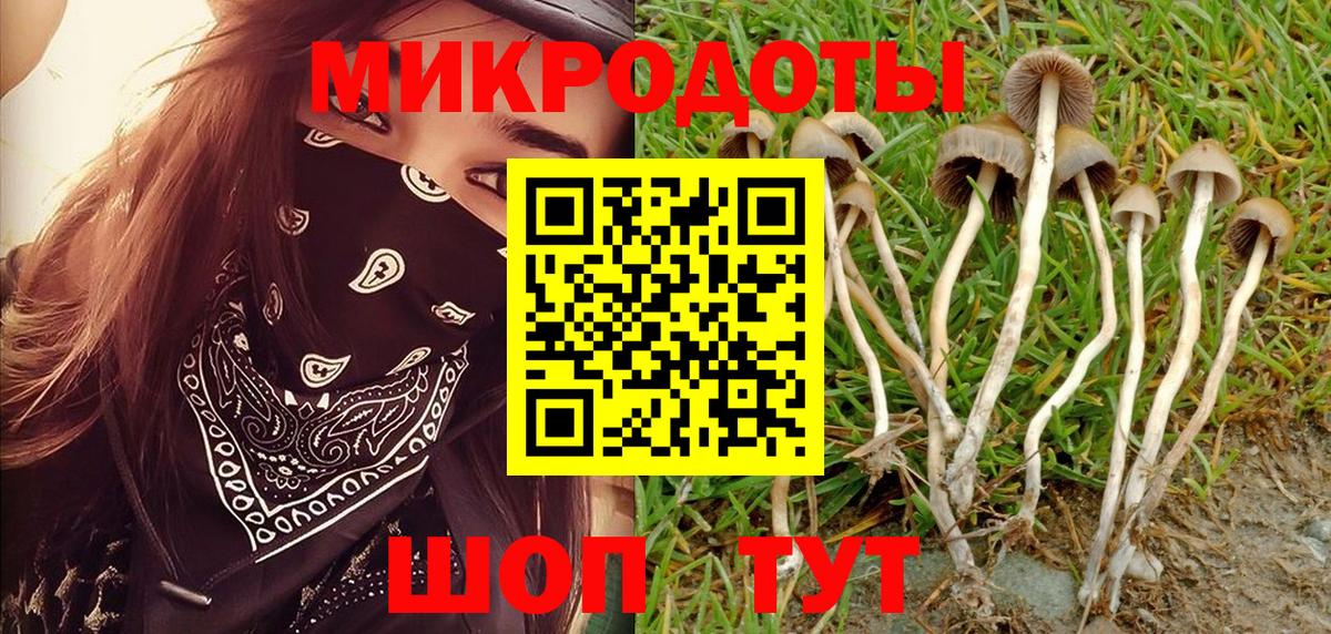 Псилоцибиновые грибы Psilocybe Первоуральск